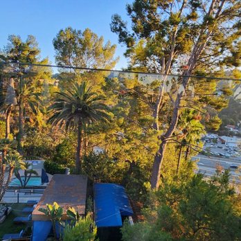 FIVE on the Hill - Pool view - Cocktail Bars Near Me - Universal City, California