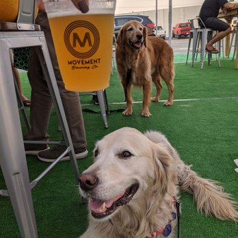 Movement Brewing - I love when a brewery is dog and kid friendly! - Breweries Near Me - Rancho Cordova, California Movement Brewing - I love when a brewery is dog and kid friendly! - Breweries Near Me - Rancho Cordova, California