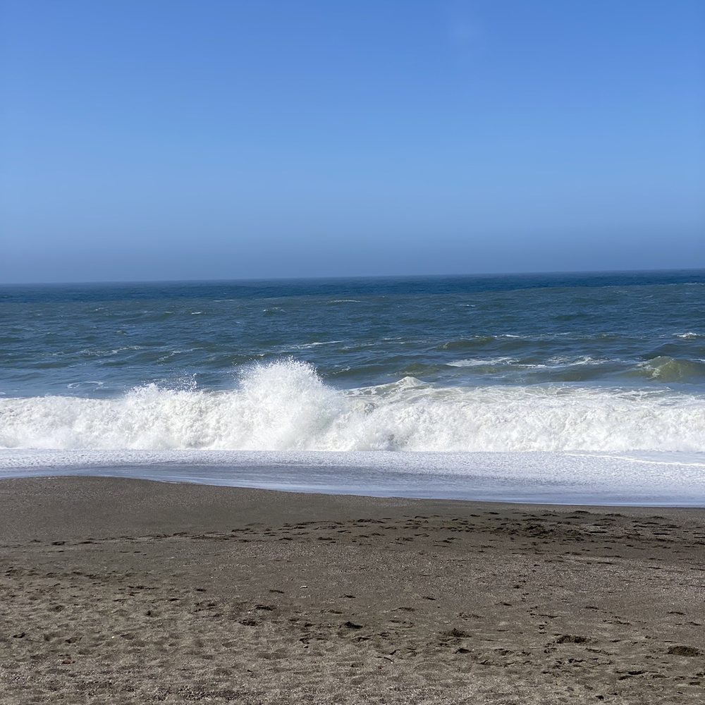Waves Waves