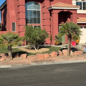 Arbor Tree Service - Tree Services Near Me - LAS VEGAS, Nevada Arbor Tree Service - Tree Services Near Me - LAS VEGAS, Nevada