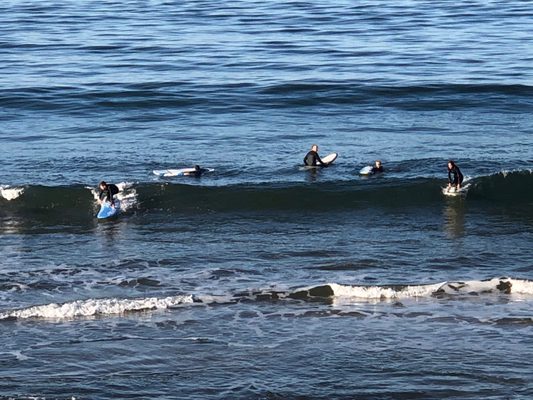 Half Moon Bay by null