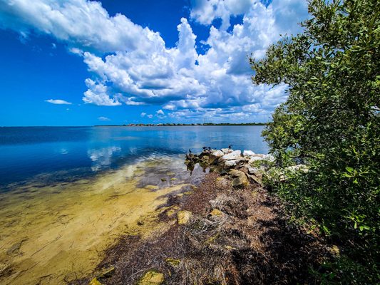 Fred Howard Park by null