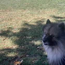 Ocean View Park - Ted, enjoying the shade, at Ocean View Park