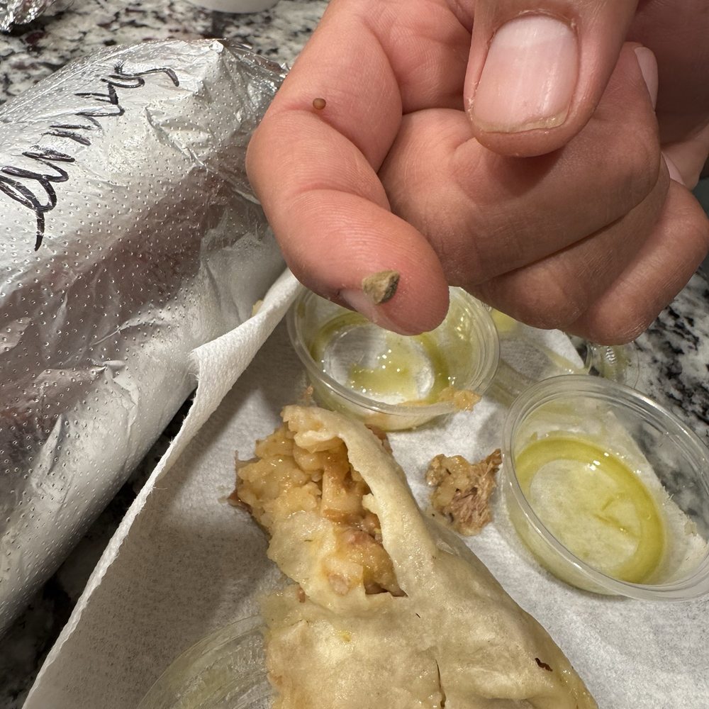 Gordo Taqueria - Mexican Near Me - Albany, California Gordo Taqueria - Mexican Near Me - Albany, California