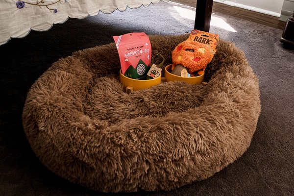 Fox & Bear Lodge by null