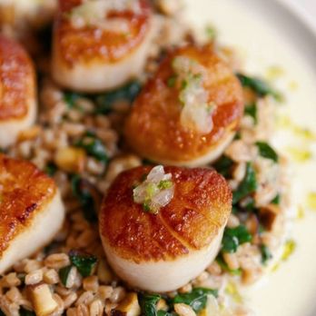 Old Ebbitt Grill - Scallops - 2/11/2025 - Bars Near Me - Washington, DC, District of Columbia