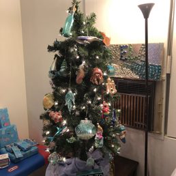 My tree My tree