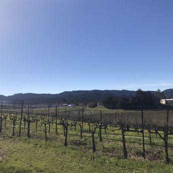 Mazzocco Sonoma - Wineries Near Me - Healdsburg, California Mazzocco Sonoma - Wineries Near Me - Healdsburg, California
