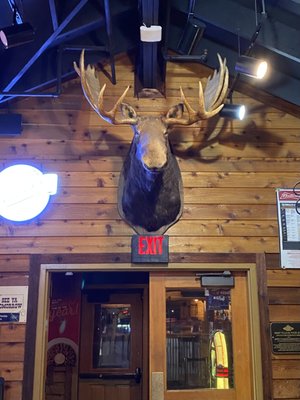 Texas Roadhouse by null