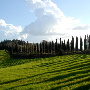 Saveurs de Toscane - Tuscany a dream.. La Toscane un rêve.. - Wineries Near Me - Brussels, BRU Saveurs de Toscane - Tuscany a dream.. La Toscane un rêve.. - Wineries Near Me - Brussels, BRU