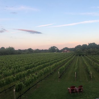 Sannino Vineyard B&B - The view from our balcony - Bed & Breakfast Near Me - Cutchogue, New York