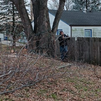 A Cut Above Tree Service - Tree Services Near Me A Cut Above Tree Service - Tree Services Near Me