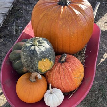 Crystal Bay Farm - Fruits & Veggies Near Me - Watsonville, California Crystal Bay Farm - Fruits & Veggies Near Me - Watsonville, California