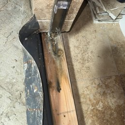 Rotten wood with mold on surface Rotten wood with mold on surface