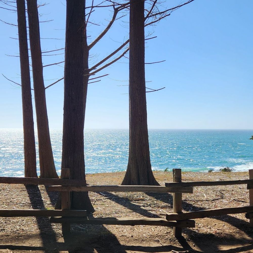 Fitzgerald Marine Reserve - Parks Near Me - Moss Beach, California