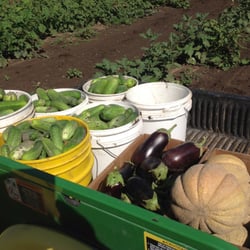 Brandau’s Farmstand