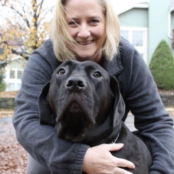 Pet Sitting by Liz - Pet Sitting Near Me Pet Sitting by Liz - Pet Sitting Near Me