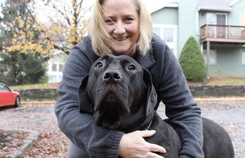 Pet Sitting by Liz Image