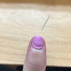 Modern Nails
