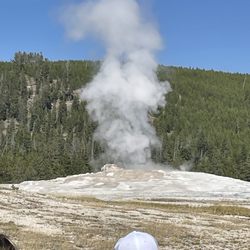 Old Faithful - Oh faithful