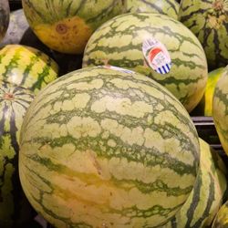 REWE - Trageobjekte