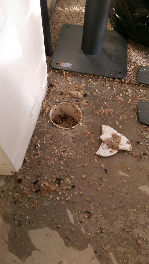 Slide of Bill's Plumbing Service