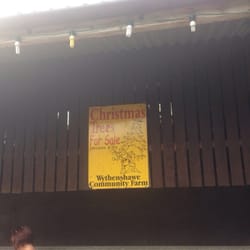Wythenshawe Community Farm - Sign for christmas trees