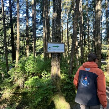 Bumble Expeditions - Rob's tour - Whale Watching Tours Near Me