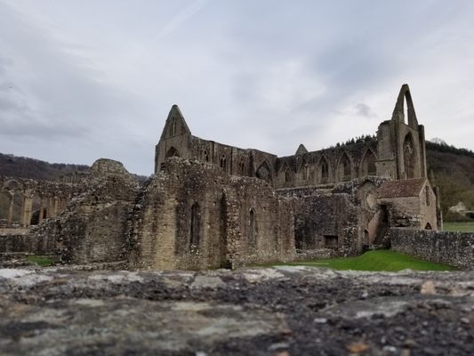Tintern Abbey by null