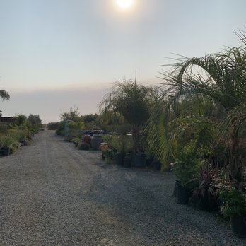 Leo's Nursery - Nurseries & Gardening Near Me - Visalia, California