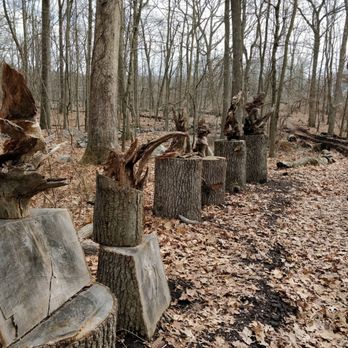 Selleck's Woods - Hiking Near Me - Darien, Connecticut
