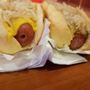 Photo of South Point Hot Dog Cart