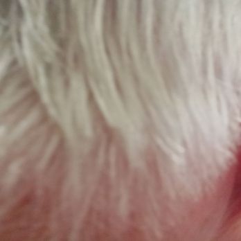 Linda's Barber Shop - All different layers and lengths. I felt violated. - Kids Hair Salons Near Me - Charlottesville, Virginia Linda's Barber Shop - All different layers and lengths. I felt violated. - Kids Hair Salons Near Me - Charlottesville, Virginia