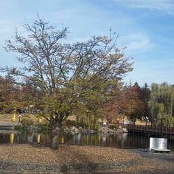 Group Coordinators - Riverfronk Park