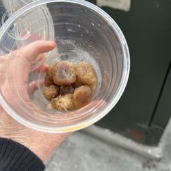 Jolt 'n Bolt - Ice cubes made of frozen coffee!