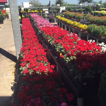 Houston Garden Centers - Nurseries & Gardening Near Me - League City, Texas Houston Garden Centers - Nurseries & Gardening Near Me - League City, Texas