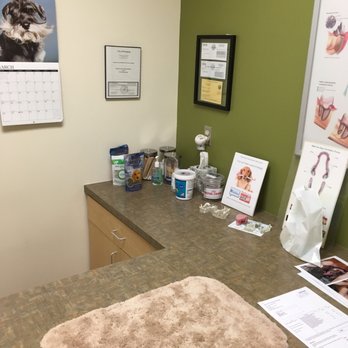 Advanced Veterinary Dentistry - Beautiful exam room. - Veterinarians Near Me - Pasadena, California