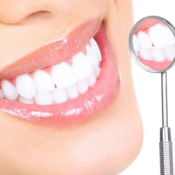 Tiffany A Spallone, DDS