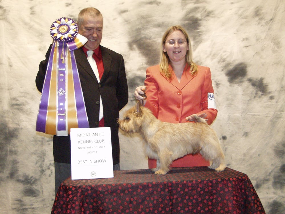 HUSH PUPPYS GROOMING Updated October 2024 15 Photos Manassas, Virginia Pet Groomers