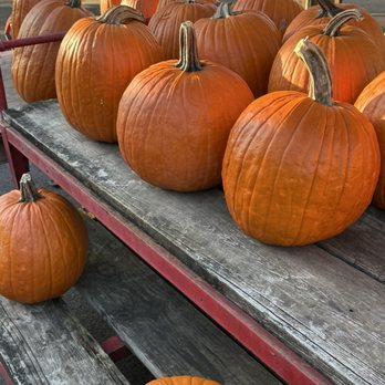 Delicious Orchards - Fruits & Veggies Near Me - Colts Neck, New Jersey