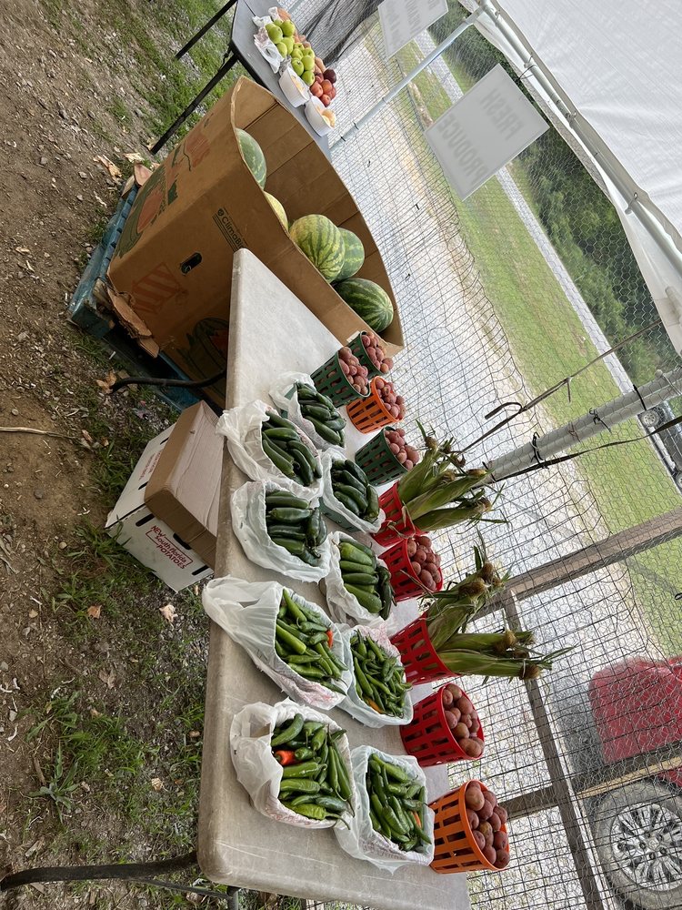 Food from Farmers Market Curb Market Fruit Stand