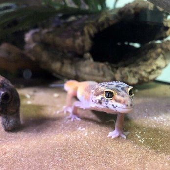 Ocean Adventures - Aquariums Near Me - Gulfport, Mississippi