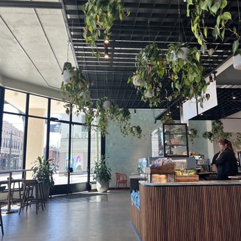 Cafe Quiquiriqui - Coffee & Tea Near Me - Tampa, Florida Cafe Quiquiriqui - Coffee & Tea Near Me - Tampa, Florida