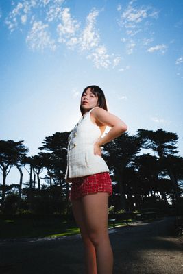 Dutch Windmill by null