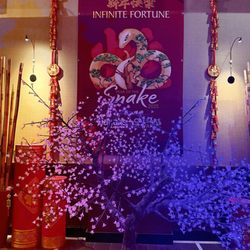 Harrah's Philadelphia Casino and Racetrack - Decor