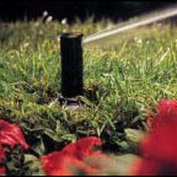 Jensen Sprinkler