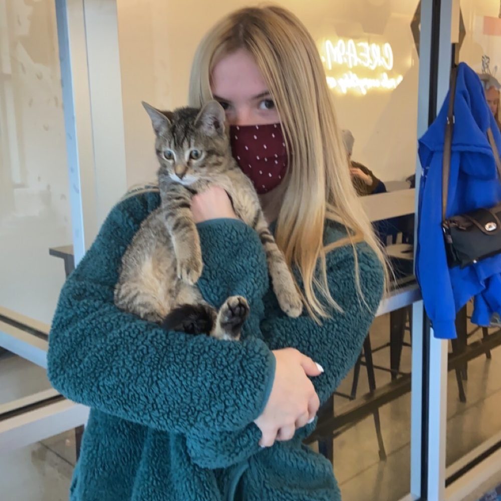 Kitty Cantina - kitty - Themed Cafes Near Me - Spokane, Washington Kitty Cantina - kitty - Themed Cafes Near Me - Spokane, Washington