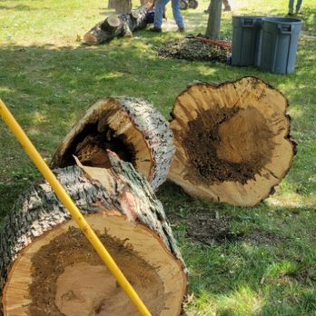 C P Property Preservation - Tree Services Near Me C P Property Preservation - Tree Services Near Me