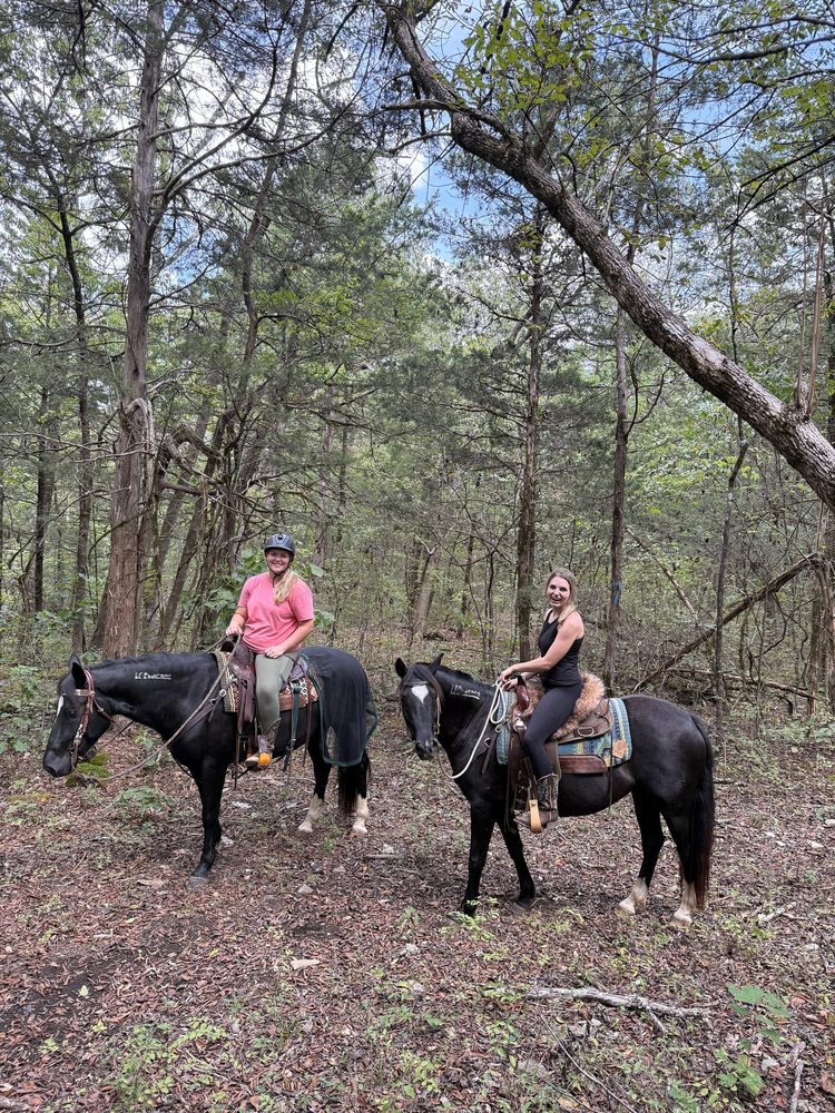 Midnight Stars Stables - equestrian in Christiana, TN