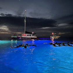Kona Ocean Experience